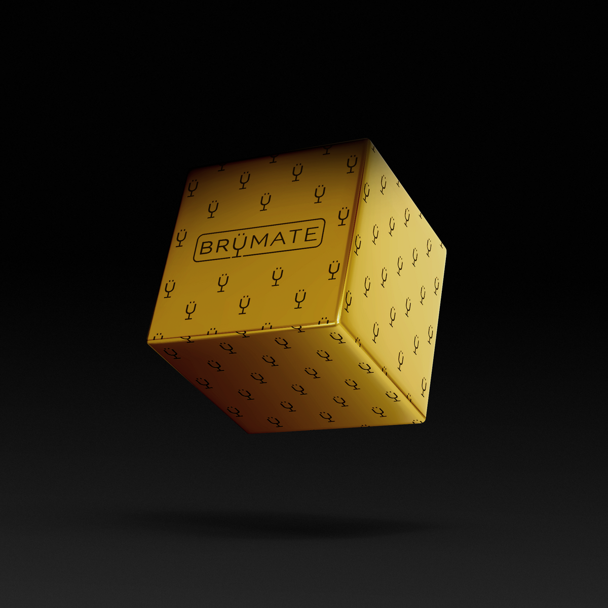 premium-mystery-item-39-70-value-g8 IMG-1548.png